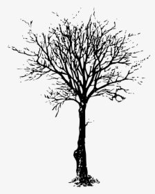 Dead Tree Png Draw, Transparent Png, Transparent PNG