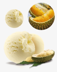 Transparent Durian Png - Durian Ice Cream Scoop, Png Download, Transparent PNG
