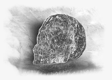 Monochrome, HD Png Download, Transparent PNG