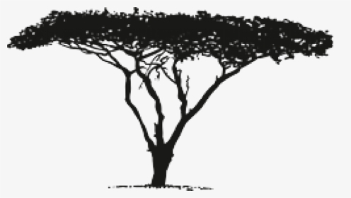 Vector Graphics Africa Image Download Silhouette - African Tree Silhouette Vector, HD Png Download, Transparent PNG