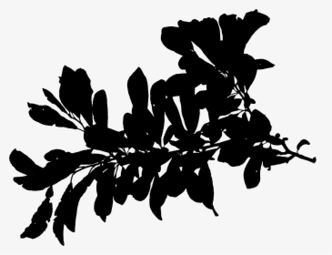 Plant Stem Silhouette Leaf Font Black - Silhouette, HD Png Download, Transparent PNG