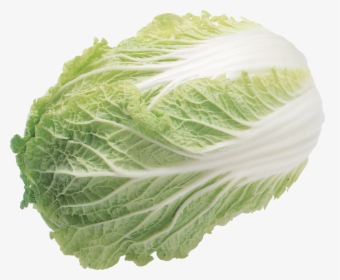 Now You Can Download Salad High Quality Png - Iceberg Lettuce Transparent Background, Png Download, Transparent PNG