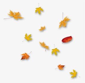 Autumn, HD Png Download, Transparent PNG