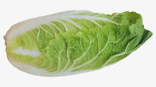 Free Download Of Salad Png Picture - Chinese Cabbage Transparent Background, Png Download, Transparent PNG