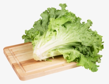 Green Salad Lettuce Image Hd Image Clipart - Imagens De Um Alface Png, Transparent Png, Transparent PNG