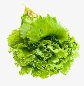 Lettuce Salad Png Transparent - Transparent Background Lettuce Png, Png Download, Transparent PNG