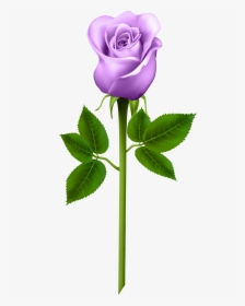 Flower,flowering Plant,plant,rose,plant Stem,rose Tea - Blue Rose Transparent Background, HD Png Download, Transparent PNG