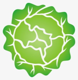 Transparent Salad Icon Png - Lettuce Head Clipart, Png Download, Transparent PNG