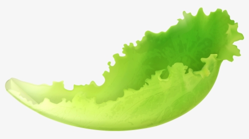 Leaf Lettuce Png Clipart - Lettuce Leaf Clip Art, Transparent Png, Transparent PNG