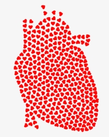 Anatomy Of The Heart Clipart - Filter With Holes, HD Png Download, Transparent PNG
