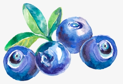 Transparent Fruta Png - Custom Blueberry Wine Labels, Png Download, Transparent PNG