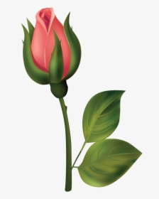 Stem Red Rose Bud Png Clipart - Flower Bud Bud Clipart, Transparent Png, Transparent PNG