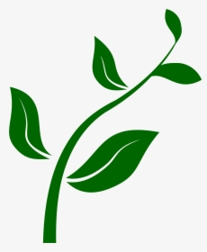 Clipart - - Growing Plant Clip Art, HD Png Download, Transparent PNG