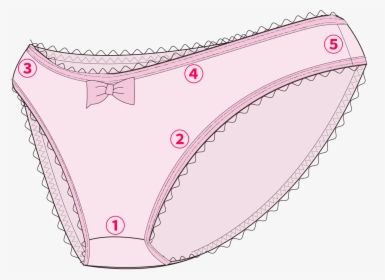 Ladies - Panties, HD Png Download, Transparent PNG