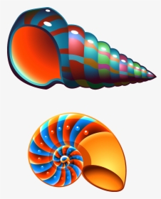 Transparent Seashells Clipart - Cute Seashell Clip Art, HD Png Download, Transparent PNG