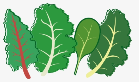 Herb Leaf Vegetable Plant Stem Seed - Leafy Greens Clipart Transparent Background, HD Png Download, Transparent PNG