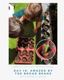 How To Grow Create A Kids Vegetable Garden 5 Simple - Blackberry, HD Png Download, Transparent PNG