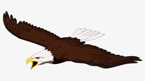 Flying Eagle Clip Art - Clip Art Soaring Eagle, HD Png Download, Transparent PNG