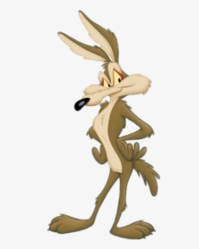 Wile E Coyote Png, Transparent Png, Transparent PNG