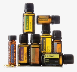 Product Info Product Info - Doterra Brazil, HD Png Download, Transparent PNG