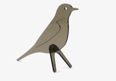 Robin Bird Png - Mountain Bluebird, Transparent Png, Transparent PNG
