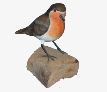 Transparent Robin Bird Png - European Robin, Png Download, Transparent PNG