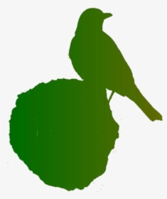 Robin Bird On Rock Png Full Hd - House Sparrow, Transparent Png, Transparent PNG