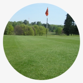Transparent Golf Grass Png - Lawn, Png Download, Transparent PNG