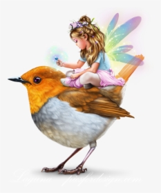 Transparent Robin Bird Png - Little Fairy Girls Png, Png Download, Transparent PNG