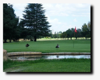 Kempton Park Golf Club, HD Png Download, Transparent PNG