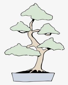 Bonsai Locker Aufrechte Form - Bonsai, HD Png Download, Transparent PNG