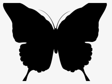 Transparent Gitarre Clipart - Silhouette Of Butterfly Png, Png Download, Transparent PNG