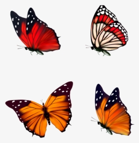 Red Butterfly Png, Transparent Png, Transparent PNG