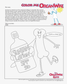 Organwise Guys Activity Sheets June, HD Png Download, Transparent PNG