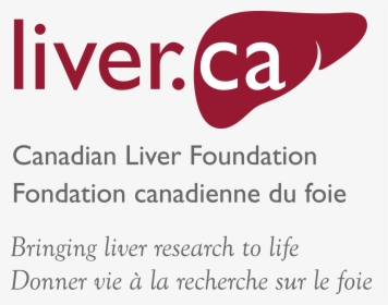 Canadian Liver Foundation Logo Png, Transparent Png, Transparent PNG