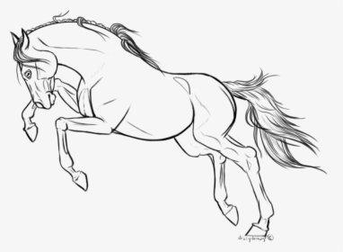 Pencil Sketch Of Horse Riding, HD Png Download, Transparent PNG
