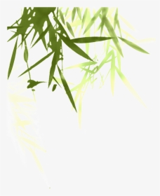 Beautiful Bamboo Leaves Hd Png - Bamboo Logo Leaves, Transparent Png, Transparent PNG