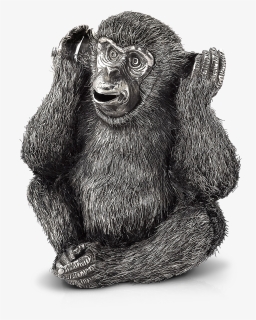 Hear No Evil Monkey - Detailed Monkey Drawing, HD Png Download, Transparent PNG