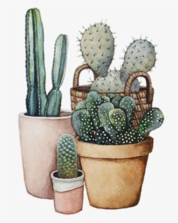 #cactus #tumblr #cool #interesting #art #nature #green - Watercolor Painting, HD Png Download, Transparent PNG