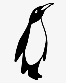 Penguins Images Black N White, HD Png Download, Transparent PNG
