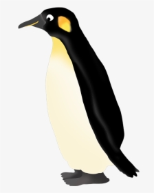 Transparent Emperor Png - King Penguin, Png Download, Transparent PNG