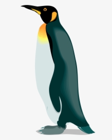 The Emperor Penguins Gentoo Penguin - Emperor Penguin Clipart, HD Png Download, Transparent PNG