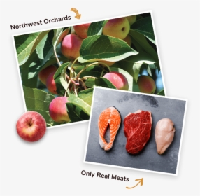 Real Meats And Fruits - Apple, HD Png Download, Transparent PNG