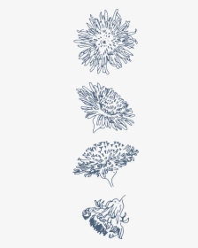 Transparent Funny Pngs - Chrysanths, Png Download, Transparent PNG