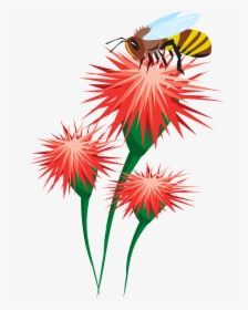 Bee On Flower Clipart, HD Png Download, Transparent PNG