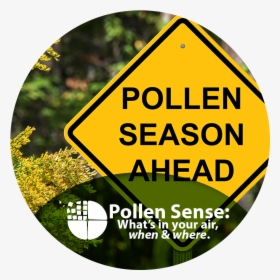 Pollen Sense What S In Your Air When And Where - Pollen Allergies, HD Png Download, Transparent PNG