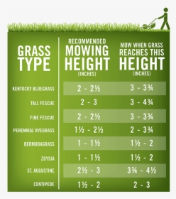 Lawn-mowing Height Chart - Mowed Grass Height, HD Png Download, Transparent PNG