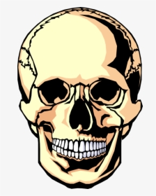 Vector Illustration Of Human Skull Head - Dia De Los Muertos Blank Skull, HD Png Download, Transparent PNG
