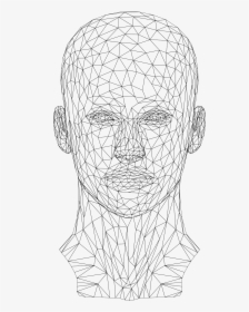 Low Poly Female Head - Wireframe Human Head Png, Transparent Png, Transparent PNG