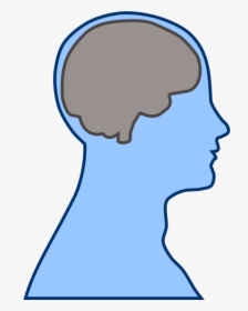 Transparent Brain Clip Art - Cartoon Head With Brain, HD Png Download, Transparent PNG
